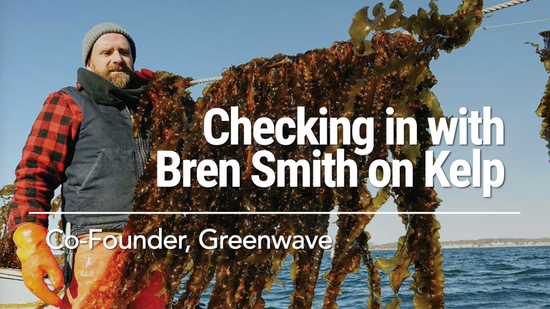 Checking in with Bren Smith on Kelp